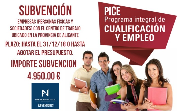 naranjo asociados napeval asesoría alicante subvenciones pice 2018